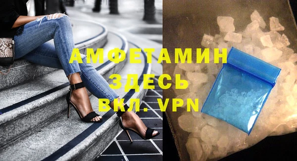 индика Балабаново