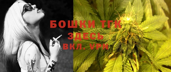 индика Балабаново
