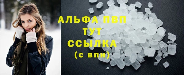индика Балабаново