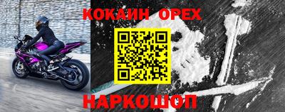 стаф Камышлов