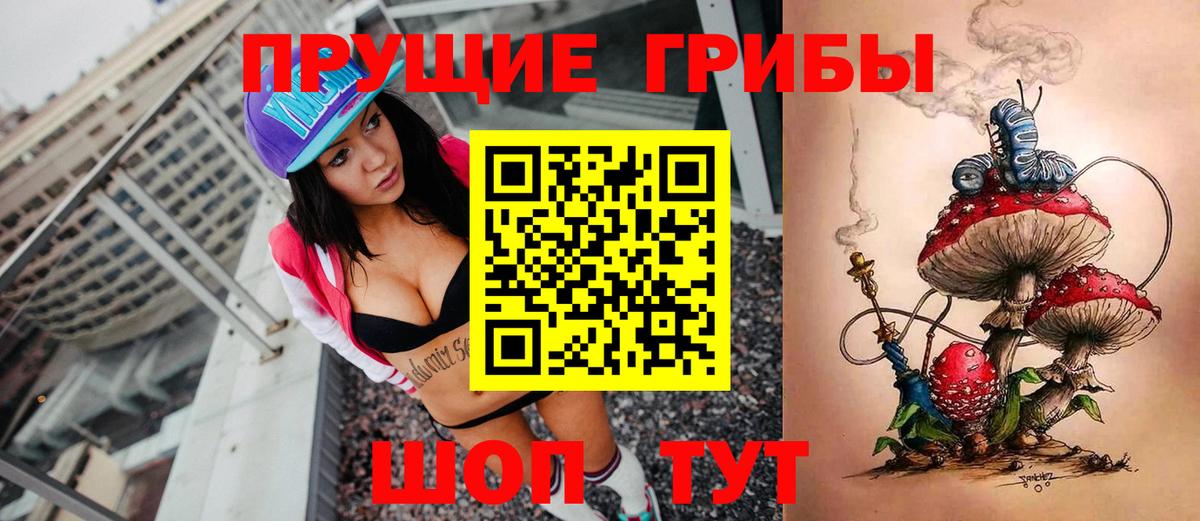 Галлюциногенные грибы Psilocybe Кубинка